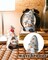 Coffee Gnomes – Set of 2 Resin Swedish Collectible Figurines, 4-inch Couple, Coffee Bar Accessories & Decor for Kitchen, Counter, Valentine’s Day Gift